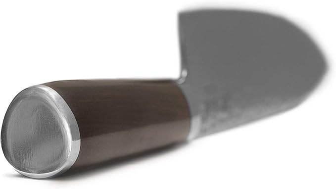 KAN Core Professional Chef Knife 8-inch VG-10 67 layers Damascus Ambidextrous (Hammered Japanese VG-10 Blade, Ebony wood handle-upgraded version)