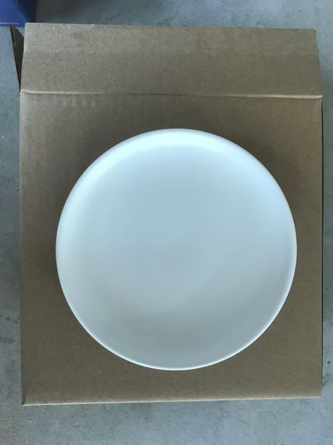 Matte Ceramic Appetizer Plates 6 Inch,Small Mini Dessert Plates Set of 4,Microwave and Oven Safe Snack,Bread,Butter Dessert,Pie,Cake Plates Cat Dishes(6 inch, White)