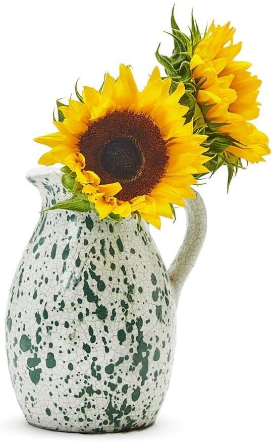 Two's Company Verde Splash Jug - Terracotta