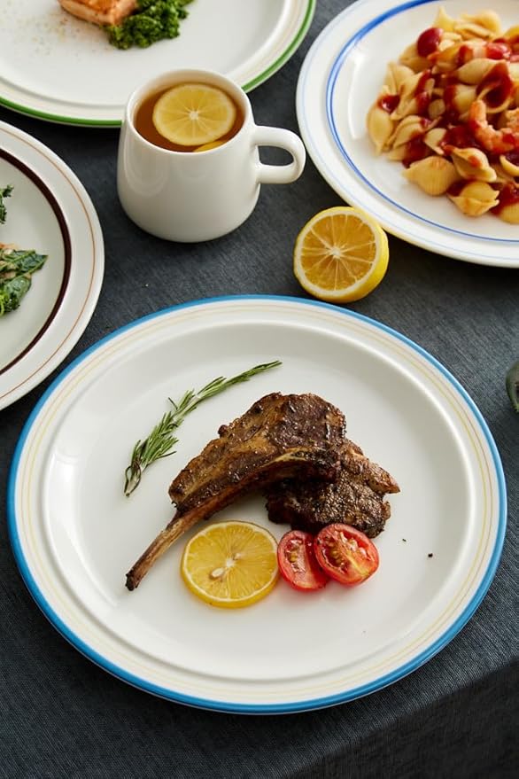 10.5-inch Porcelain Dinner Plate Set of 6 - Microwave, Oven and Dishwasher Safe, Scratch Resistant. (Multicolor)