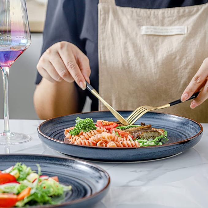 HVH Porcelain Dinner Plates Set of 6, 10.25 inch Ceramic Plates Set, Large Dinner Plates Set for Dinner, Salad, Ceramic Dinner Plates, Healthy Dinner Plates Set of 6, Farmhouse Style (Black)