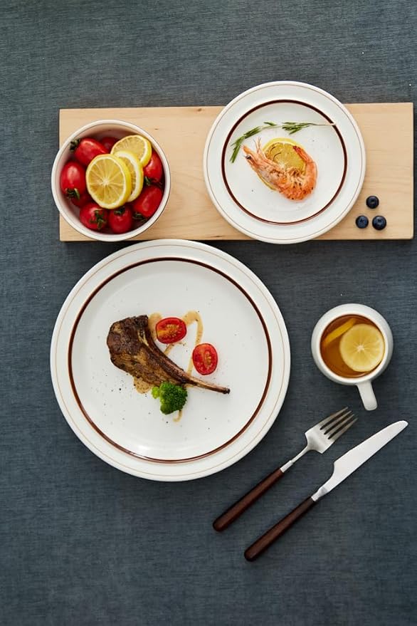 10.5-inch Porcelain Dinner Plate Set of 6 - Microwave, Oven and Dishwasher Safe, Scratch Resistant. (Multicolor)