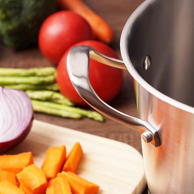 HOMI CHEF HEAVY ECOLOGICAL NICKEL FREE Stainless Steel Stock Pot 8QT with Lid (No Toxic Non Stick Coating, 5.1LBS) - Induction Pot 8 Quart Matte Polished Cooking Pot
