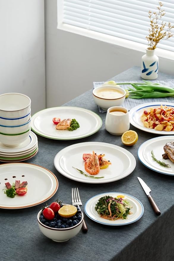 10.5-inch Porcelain Dinner Plate Set of 6 - Microwave, Oven and Dishwasher Safe, Scratch Resistant. (Multicolor)
