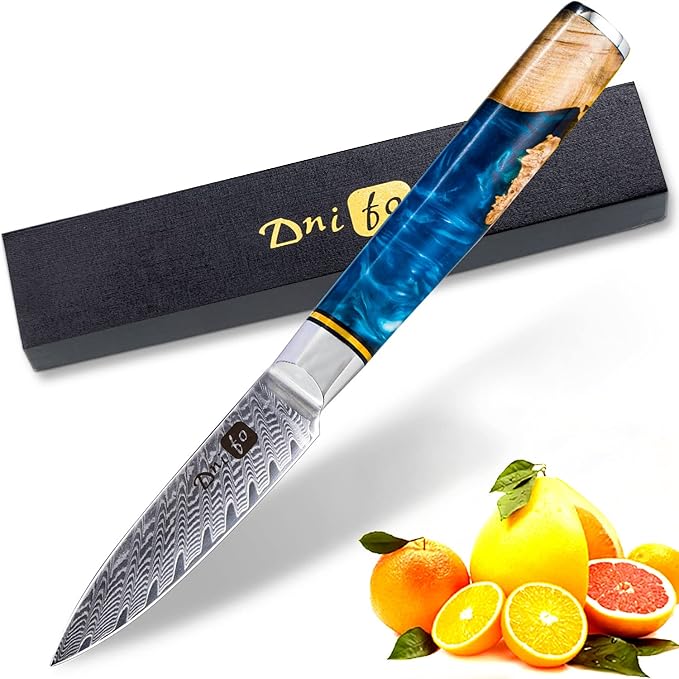 Classic Paring Knife 3.5 Inch, Japanese VG10 Steel Damascus Fruit Knife, Sharp Small Kitchen Knife with Gift Box and Resin Wood Handle,Ideal Birthday Gift for Men and Women
