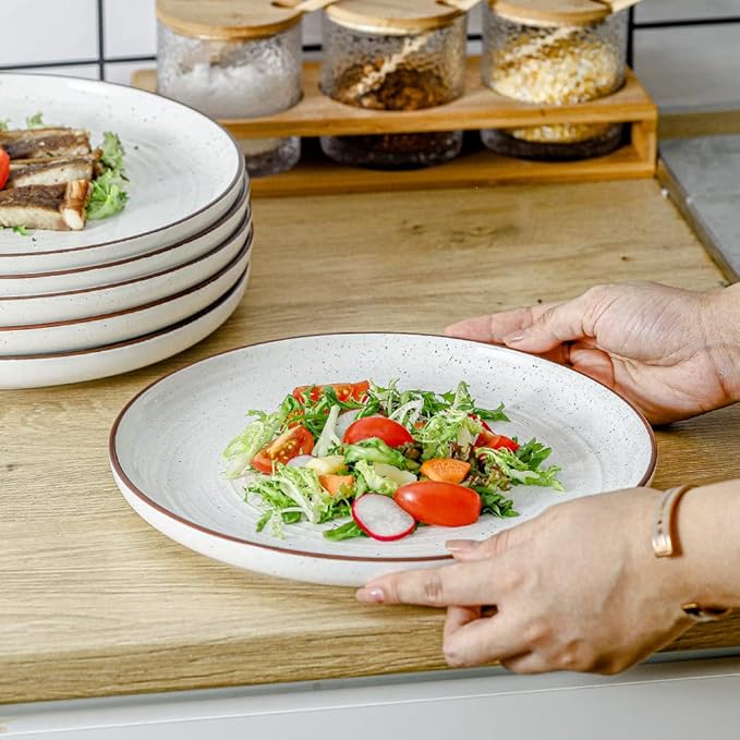 HVH Porcelain Dinner Plates Set of 6, 10.25 inch Ceramic Plates Set, Large Dinner Plates Set for Dinner, Salad, Ceramic Dinner Plates, Healthy Dinner Plates Set of 6, Farmhouse Style (White)