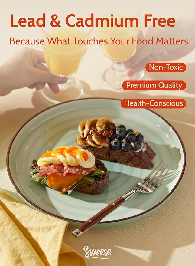 Sweese Dinner Plates, 10 Inch Round Porcelain Plates, Dish Set for Lunch, Party, Wedding, Restaurant, Microwave, Oven, Dishwasher Safe Plates Set of 6, Cool Assorted Colors