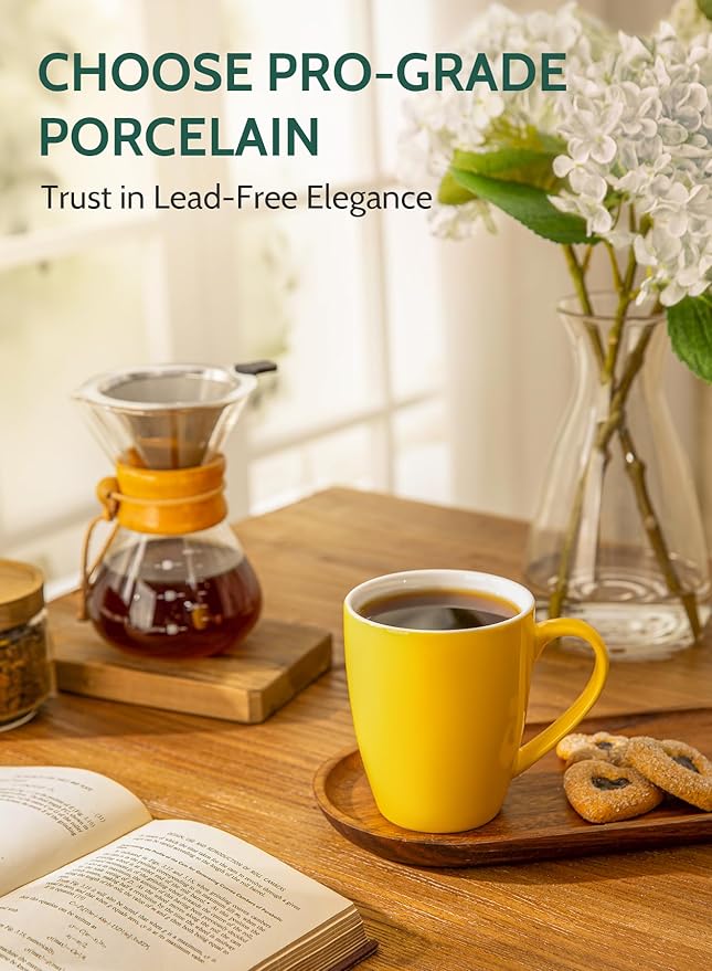 Sweese Porcelain Mugs - 12 Ounce for Coffee, Tea, Mocha and Mulled Drinks - Set of 6, Hot Assorted Colors