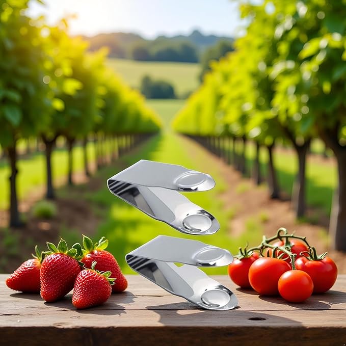 2Pcs Stainless Steel Strawberry Huller Fruit Stem Remover, Picker Leaf Peeler Tweezers Kitchen Gadgets for Strawberry Cherry Tomato Fruit Tools