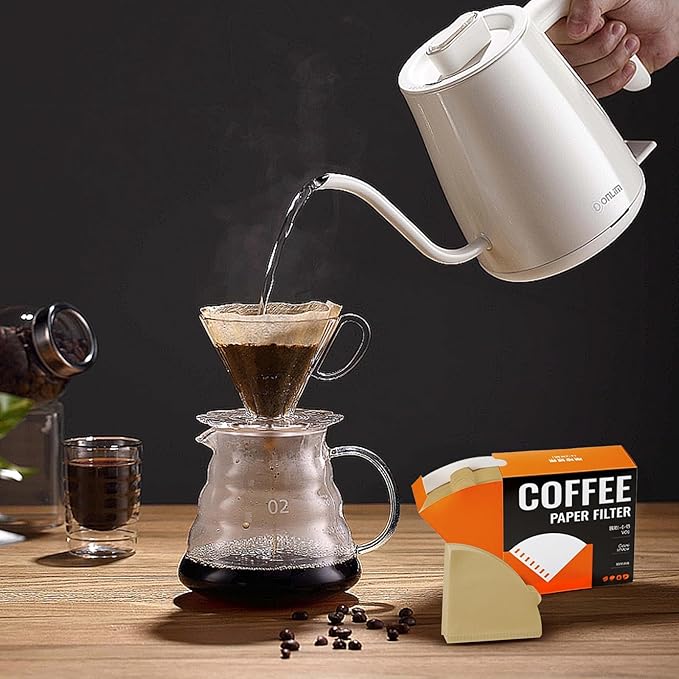 Cone Coffee Filter Papers, V02 Size, 100-Count Pack for Pour Over Coffee Makers (V01)