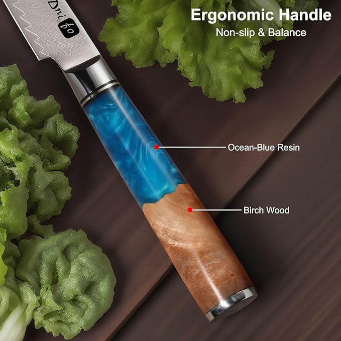Classic Paring Knife 3.5 Inch, Japanese VG10 Steel Damascus Fruit Knife, Sharp Small Kitchen Knife with Gift Box and Resin Wood Handle,Ideal Birthday Gift for Men and Women