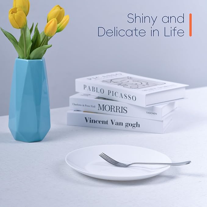 8.5 inch Salad Plate Set of 6, Lightweight Opal Glass Round White Plates for Appetizer Dessert Kitchen, Dishwasher and Microwave Safe