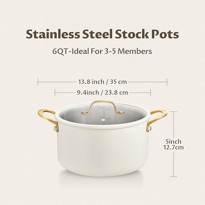 BEZIA 6 Quart Tri-Ply Stainless Steel Stockpot,Stock Pot with Visible Lid, Even Heat Distribution, Induction Cooking Pot for All Stoves, Sturdy & Double Handle,Ideal for Soups & Stews