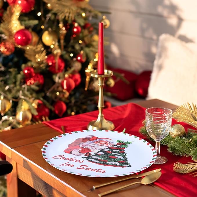 10-Inch Christmas Melamine Dinner Plates, 12-Piece Dishes Set, Lightweight & Stackable for Holidays& Decor Party plates, Ideal for Salad,Dessert,Fruit and Cakes