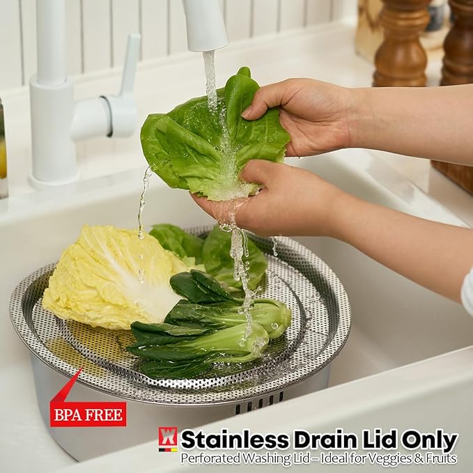 Stainless Steel Vegetables & Fruits Wash Strainer Colander, Perforated Tray, Mini Drying Rack for Dishes, Fitting Lid for Washing-up Bowl (300 x 320 x 16mm / 11.81 x 12.60 x 0.63inches)