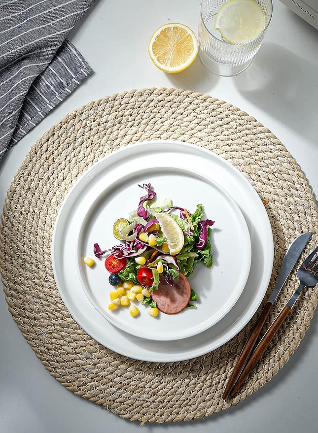 Onniyor Porcelain Dinner Plates Set, Round Dessert Salad Plates, 10 inch Serving Dishes, Scratch Resistant Flat Plates, Microwave, Oven, and Dishwasher Safe, Set of 6, White