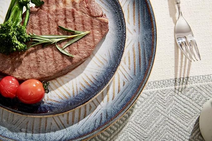 10.5” Stoneware Coupe Dinner Plates with Reactive Glaze Finish, Dishwasher Microwave Oven Safe, Ceramic and Round, Perfect for Salad, Dessert, Steak, Pasta (set of 6) (10.5" reactive glaze plates)
