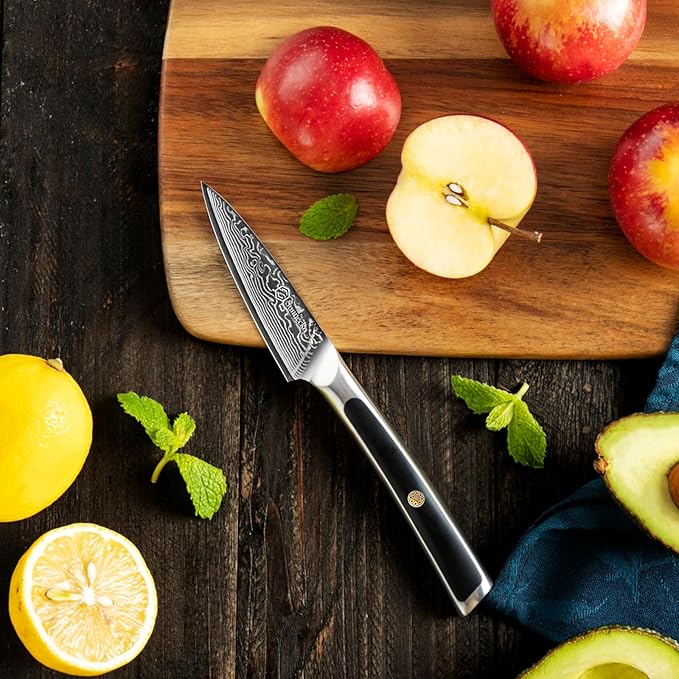 Sunnecko Paring Knife 3.5 Inch, Fruit Knife with 67-layers Damascus Steel VG-10 Blade Small Knife, Peeling Knife with Inlaid Handle Small Kitchen Knife Perfect for Cutting Fruit Vegetables Petty Knife