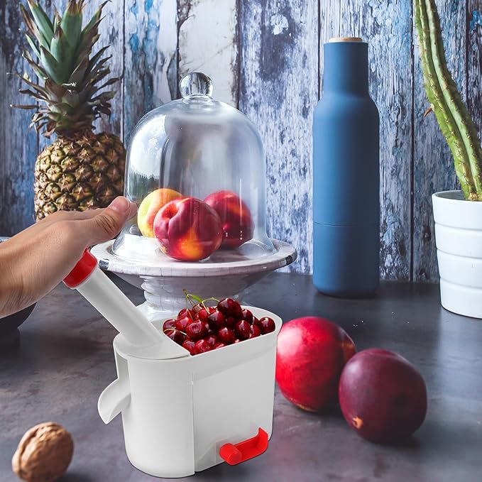 Kichvoe 1 Pc Pitter Remover Maraschino Cherries Pitted Olives Stone Remover Jujube Corer Pitter Tool Plum Kitchen Gadgets Deseeder Jam Fruit Vegetable Tool Dates