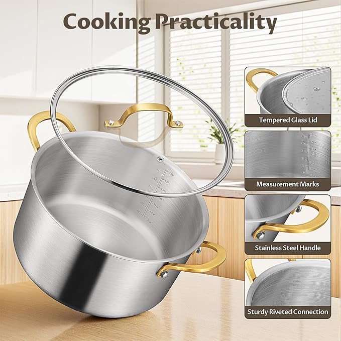 BEZIA 6 Quart Tri-Ply Stainless Steel Stockpot,Even Heat Distribution, Cooking Pot With Sturdy Handles, Oven-Safe Up to 500°F, Compatible with All Cooktops, Perfect for Soups & Stews, Silver