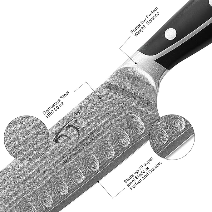 Damascus Kitchen Knife, 7 Inch Santoku Knife Professional Kitchen Knife Forged with VG10 Super Steel 67-Layer Damascus, Non-slip ABS Ergonomic Triple Rivet Handle, Razor Sharp Lightweight Multipurpose