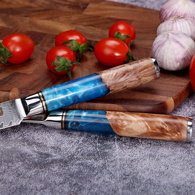 Classic Paring Knife 3.5 Inch, Japanese VG10 Steel Damascus Fruit Knife, Sharp Small Kitchen Knife with Gift Box and Resin Wood Handle,Ideal Birthday Gift for Men and Women