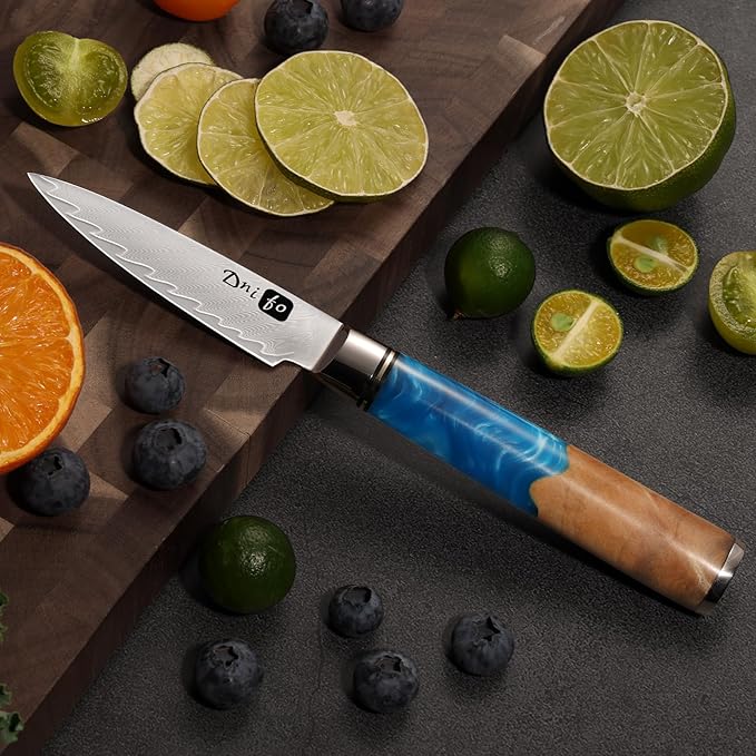 Classic Paring Knife 3.5 Inch, Japanese VG10 Steel Damascus Fruit Knife, Sharp Small Kitchen Knife with Gift Box and Resin Wood Handle,Ideal Birthday Gift for Men and Women
