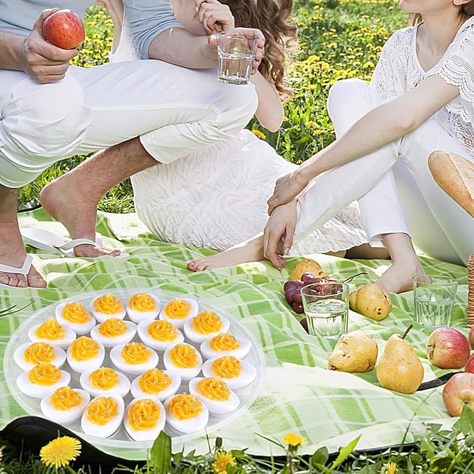 HANSGO Deviled Egg Containers with Lid, Portable Deviled Egg Platter Carrier Holder Trays with 22 Slots for Holiday Party and Home Kitchen, Clear