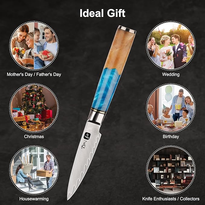 Classic Paring Knife 3.5 Inch, Japanese VG10 Steel Damascus Fruit Knife, Sharp Small Kitchen Knife with Gift Box and Resin Wood Handle,Ideal Birthday Gift for Men and Women
