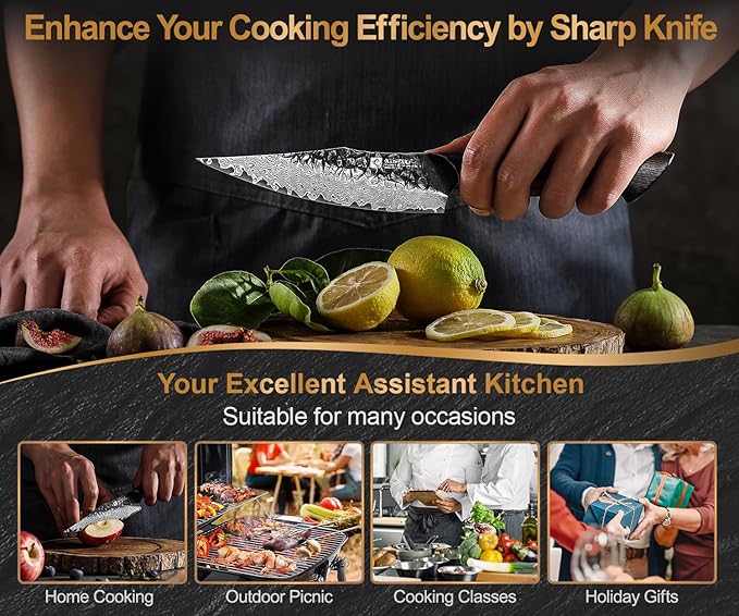 XINZUO 5.6 inch Paring Petty Knife,High Carbon 67 Layers Damascus Steel Fruit and Vegetable Small Kitchen Utility Knife,Burnt Wood Handle