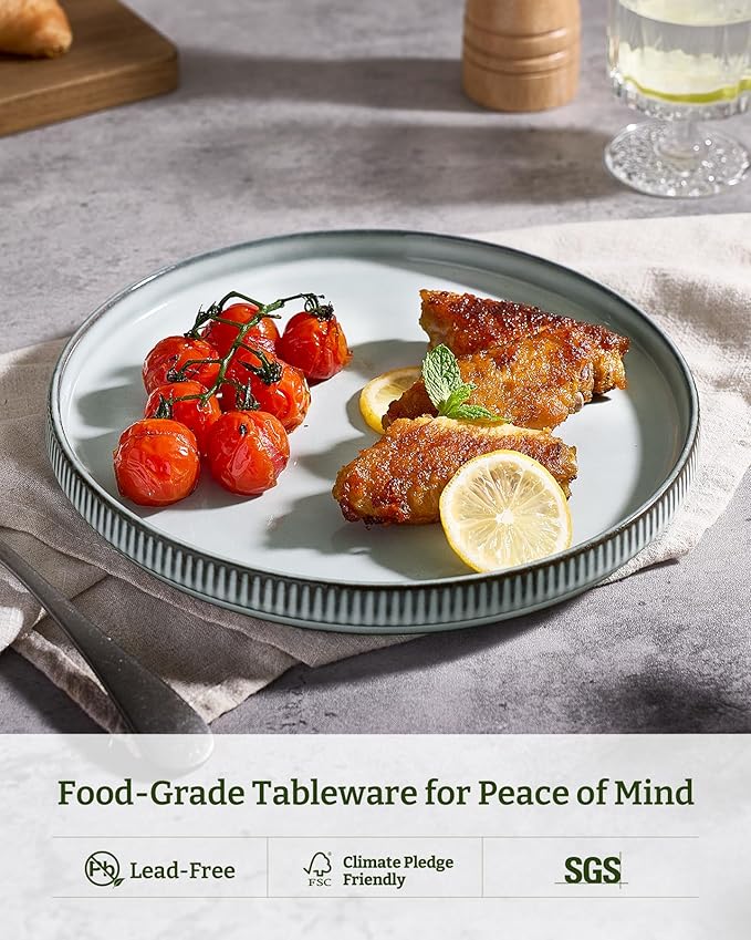 famiware Star Dinner Plates for 6, 10 inches Plate Set, Scratch Resistant, Stoneware Dinnerware, Kitchen Modern Rustic Serving Dishes, Smoky Blue