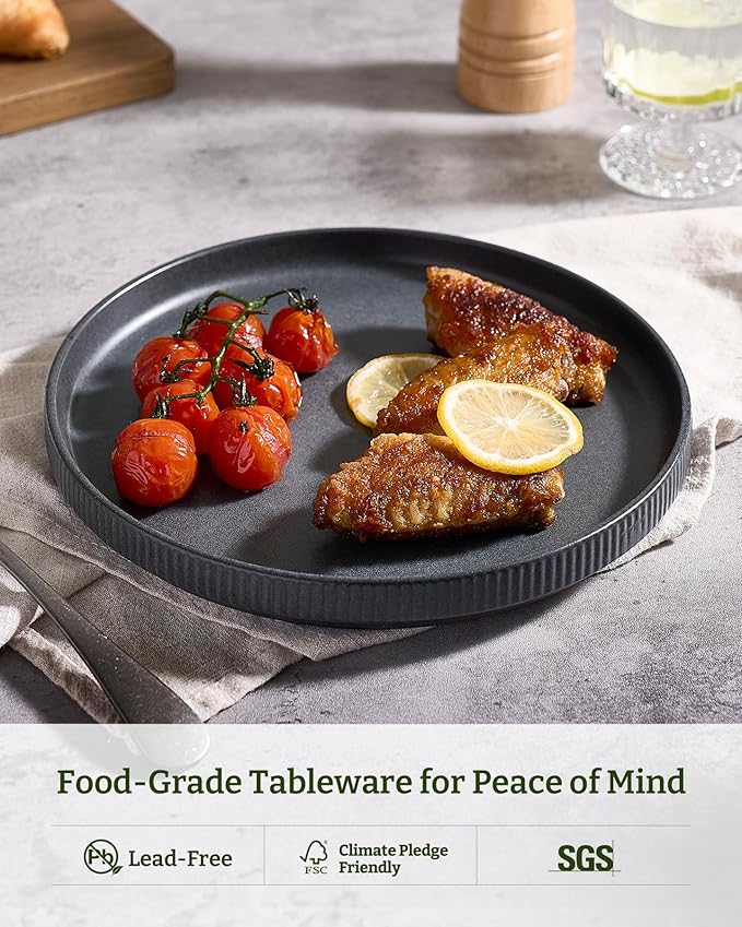 famiware Star Dinner Plates for 6, 10 inches Plate Set, Scratch Resistant, Stoneware Dinnerware, Kitchen Modern Rustic Serving Dishes, Matte Dark Charcoal (Full Glaze)