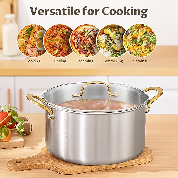 BEZIA 6 Quart Tri-Ply Stainless Steel Stockpot,Even Heat Distribution, Cooking Pot With Sturdy Handles, Oven-Safe Up to 500°F, Compatible with All Cooktops, Perfect for Soups & Stews, Silver