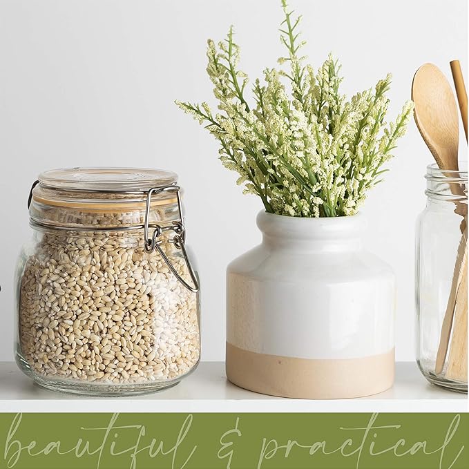 Galashield Glass Jars with Lids 24 oz Food Storage Jars with Airtight Lids Leak Proof Glass Canisters Kitchen Jars