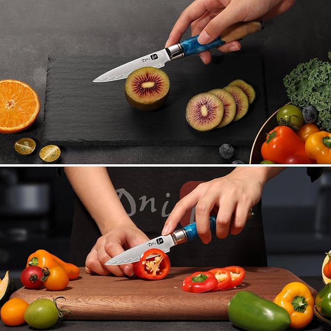 Classic Paring Knife 3.5 Inch, Japanese VG10 Steel Damascus Fruit Knife, Sharp Small Kitchen Knife with Gift Box and Resin Wood Handle,Ideal Birthday Gift for Men and Women