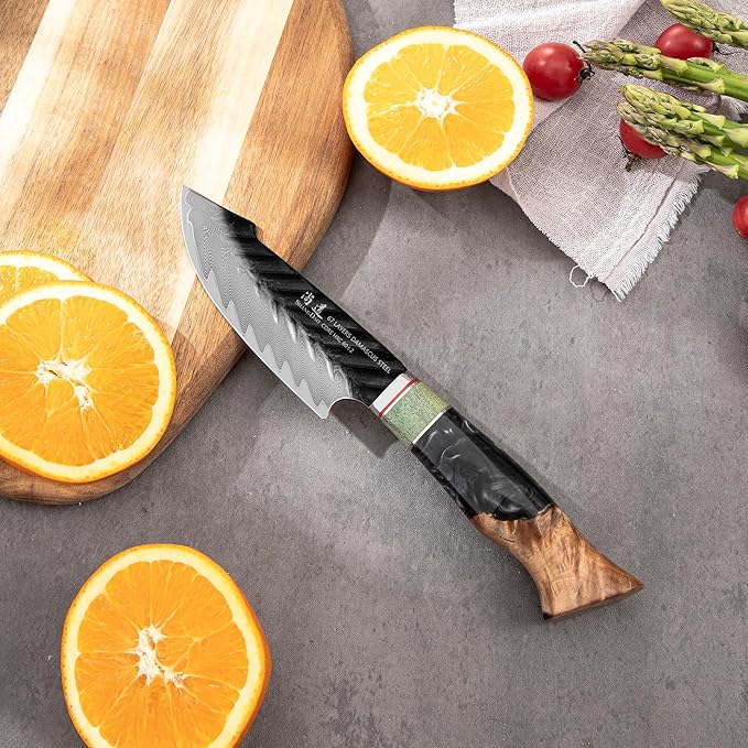 SHANGDAO Damascus Utility Knife 4.8 Inch Fruit Knife with Leather Sheath 67 Layers Alloy Steel Peeling Cutter - Hand Forged Resin & Wood Handle QILIN Series