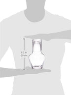 Ravenscroft Crystal Waldorf Water Carafe