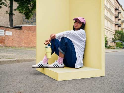 Stanley IceFlow 2.0 Flip Straw Tumbler with Handle 20 oz | Twist On Lid and Flip Up Straw | Leak Resistant Water Bottle | Insulated Stainless Steel | BPA-Free | Frost