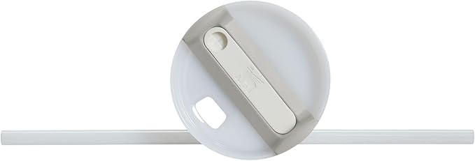 STANLEY Quencher H2.0 Tumbler with Handle and Straw 30 oz | Flowstate 3-Position Lid | Cup Holder Compatible for Travel | Insulated Stainless Steel Cup | BPA-Free | Ash