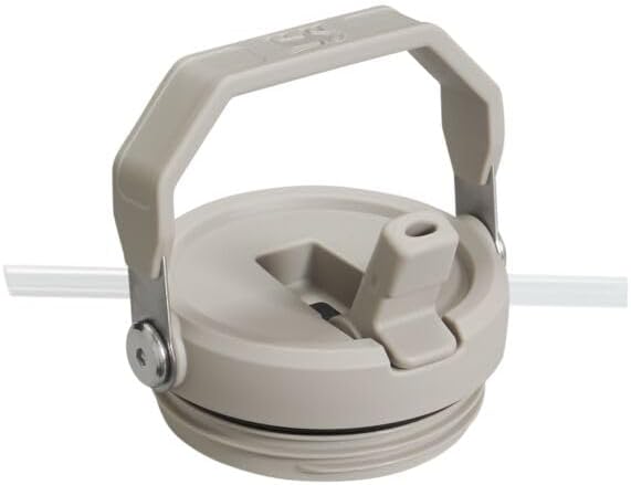 Stanley IceFlow Flip Straw Tumbler with Handle 20 oz | Twist On Lid and Flip Up Straw | Leak Resistant Water Bottle | Insulated Stainless Steel |BPA-Free | Ash