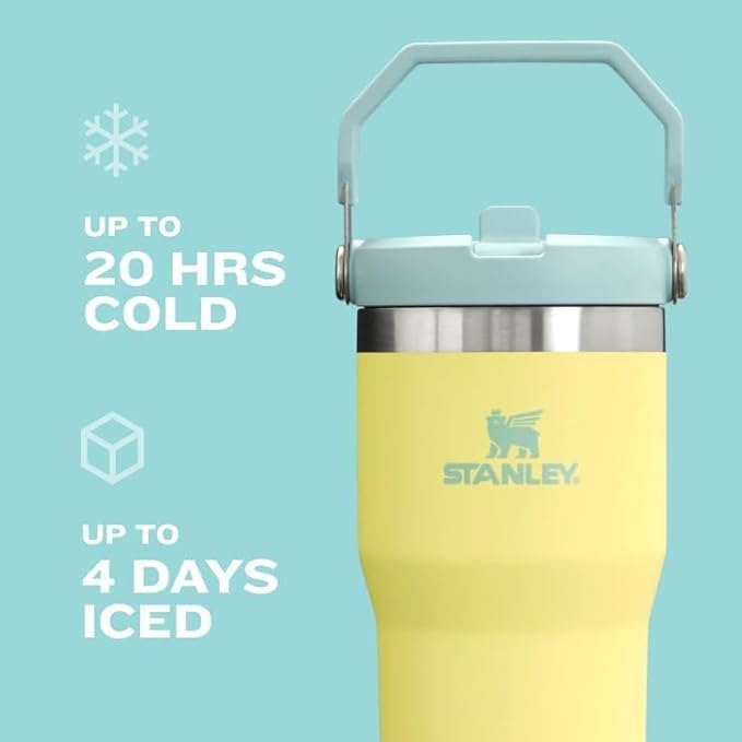 Stanley IceFlow 2.0 Flip Straw Tumbler with Handle 30 oz | Twist On Lid and Flip Up Straw | Leak Resistant Water Bottle | Insulated Stainless Steel | BPA-Free | Exclusive Blue Cactus
