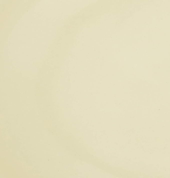 Banko Ware 12476 Oven-safe, Color Line, Oval Au Gratin Plate, Green Line, Tableware, Pottery, Microwavable, Made in Japan