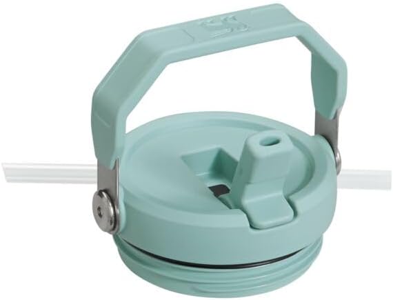 Stanley IceFlow Flip Straw Tumbler with Handle 20 oz | Twist On Lid and Flip Up Straw | Leak Resistant Water Bottle | Insulated Stainless Steel |BPA-Free | Mist