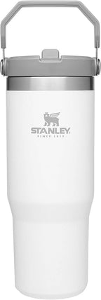 Stanley IceFlow Stainless Steel Tumbler with Straw - Vacuum Insulated Water Bottle for Home, Office or Car - Reusable Cup with Straw Leak Resistant Flip - Cold for 12 Hours or Iced for 2 Days (Polar)