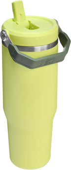 Stanley IceFlow 2.0 Flip Straw Tumbler with Handle 30 oz | Twist On Lid and Flip Up Straw | Leakproof Water Bottle | Insulated Stainless Steel | BPA-Free | Prickly Pear