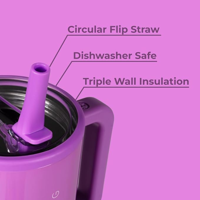 HydroJug Traveler - 32 oz Water Bottle with Handle & Flip Straw - Fits in Cup Holder, Leak Resistant Tumbler-Reusable Insulated Stainless Steel & Rubber Base - Gifts for Women & Men, Pulse