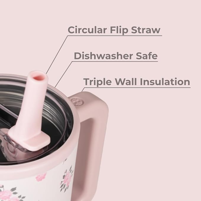 HydroJug Traveler - 20 oz Water Bottle with Handle & Flip Straw - Fits in Cup Holder, Leak Resistant Tumbler-Reusable Insulated Stainless Steel & Rubber Base - Gifts for Women & Men, Wildrose