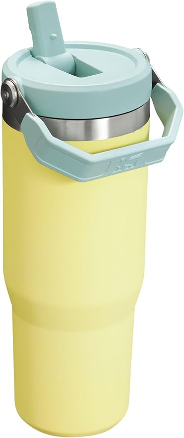 Stanley IceFlow Flip Straw Tumbler with Handle 30 oz | Twist On Lid and Flip Up Straw | Leak Resistant Water Bottle | Insulated Stainless Steel |BPA-Free | Pomelo