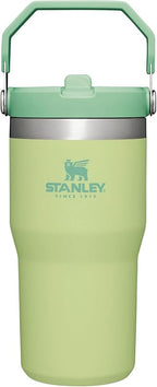 Stanley IceFlow Flip Straw Tumbler with Handle 20 oz | Twist On Lid and Flip Up Straw | Leak Resistant Water Bottle | Insulated Stainless Steel |BPA-Free | Citron