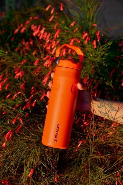 Stanley IceFlow Flip Straw 2.0 Water Bottle 24 oz | Built-In Straw for Travel and Sports | Lightweight and Leak Resistant | Insulated Stainless Steel | BPA-Free | Strawberry Cream